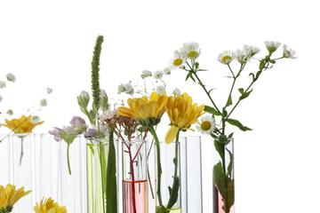 PNG, Test tubes with flowers, isolated on white background
