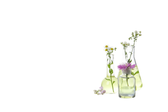 PNG, Test tubes with flowers, isolated on white background