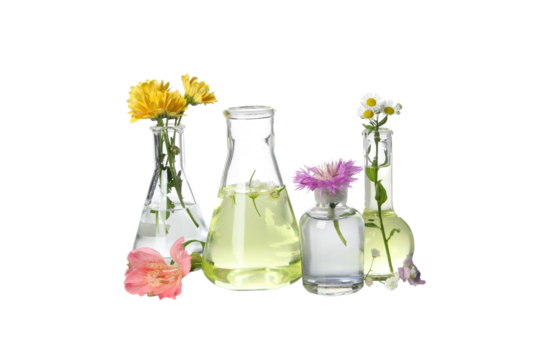 PNG, Test tubes with flowers, isolated on white background