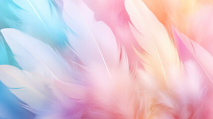 Fototapeta na wymiar Pastel colored of chicken feathers in soft and blur style for the background