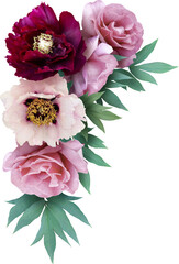Pink and red peonies and roses isolated on a transparent background. Png file.  Floral arrangement,...