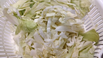 cabbage, japanese food