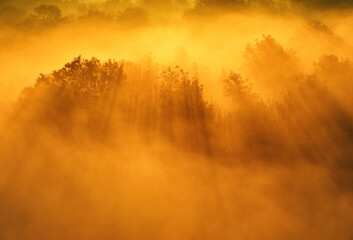 Morning fog in the meadow. Sun rays through the fog. Autumn landscape with foggy meadow and trees...