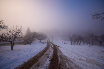 Winter landscape with a street that gets lost in the fog