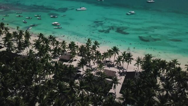 drone shot  the beach in Isla Saona, dominican republic