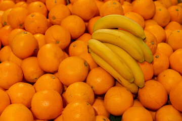Branch of yellow ripe bananas and orange.Tropical fruits on sale.