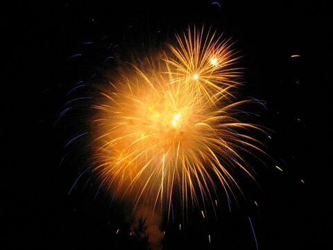 Yellow fireworks exploding against a dark sky