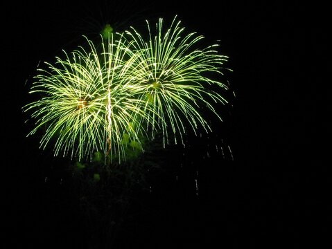 Green fireworks exploding against a dark sky