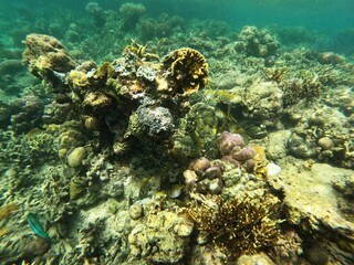 Sierte Pecados, Philippines