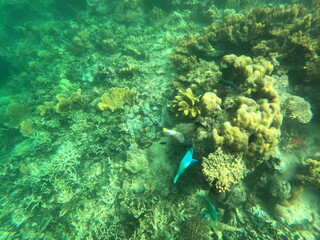 Sierte Pecados, Philippines