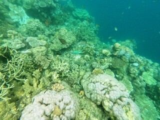 Sierte Pecados, Philippines