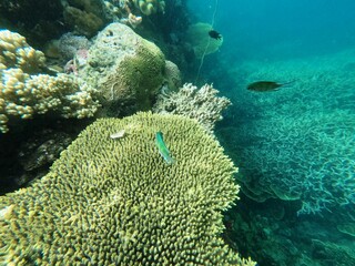 Sierte Pecados, Philippines