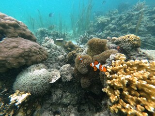 Sierte Pecados, Philippines