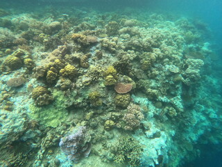 Sierte Pecados, Philippines