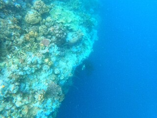 Sierte Pecados, Philippines