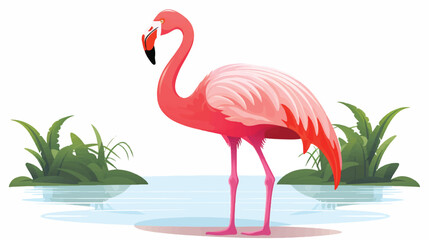 Flamingo illustration vector