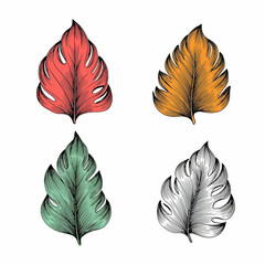 feather, bird, vector, leaf, illustration, nature, art, pattern, design, set, pen, silhouette, autumn, wing, symbol, icon, drawing, element, decoration, leaves, color, plant, quill, line, vintage