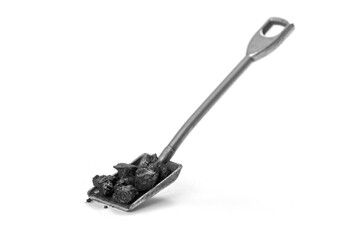 Shovel with coal on white background