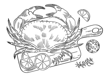 hand drawn illustration of crab