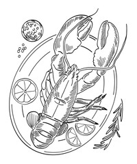 line art lobster on a white background