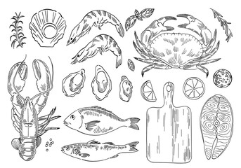 hand drawn set of seafood