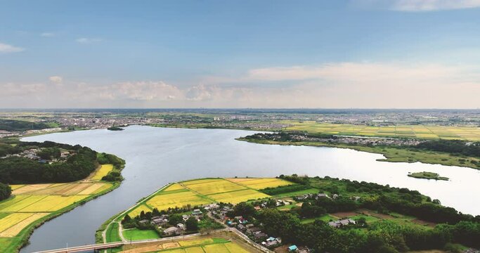 空撮 - 日本の観光地風景 牛久沼 茨城県 観光 ビジネス ドリーアウト