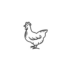 Fototapeta na wymiar bird icon and logo