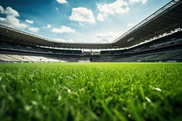 Foto op Plexiglas The football field reveals lush green fields and vast sports fields. © ORG