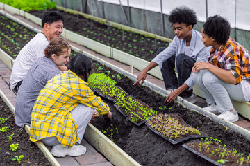 group of young school teenager learning plant vegetable nursery agriculture farm gardening in greenhouse - obrazy, fototapety, plakaty