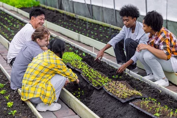 Fotobehang group of young school teenager learning plant vegetable nursery agriculture farm gardening in greenhouse © Quality Stock Arts