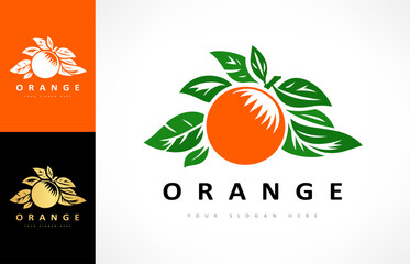 orange fruit and leaf logo vector