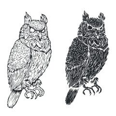 Fototapeta premium Owl bird in vintage hand drawn style. Monochrome illustration for tattoo, mascot, emblem. Vector illustration.