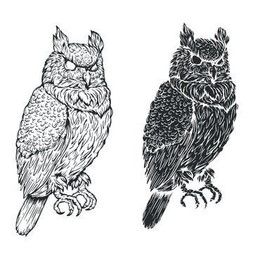 Owl bird in vintage hand drawn style. Monochrome illustration for tattoo, mascot, emblem. Vector illustration.