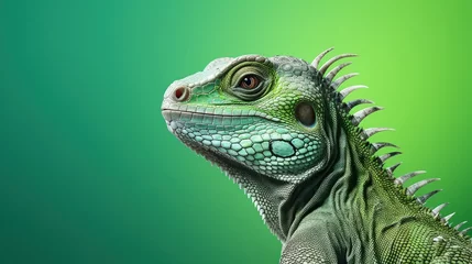 Foto op Plexiglas Portrait green serious lizard isolated on green background. AI generated image © atapdesain