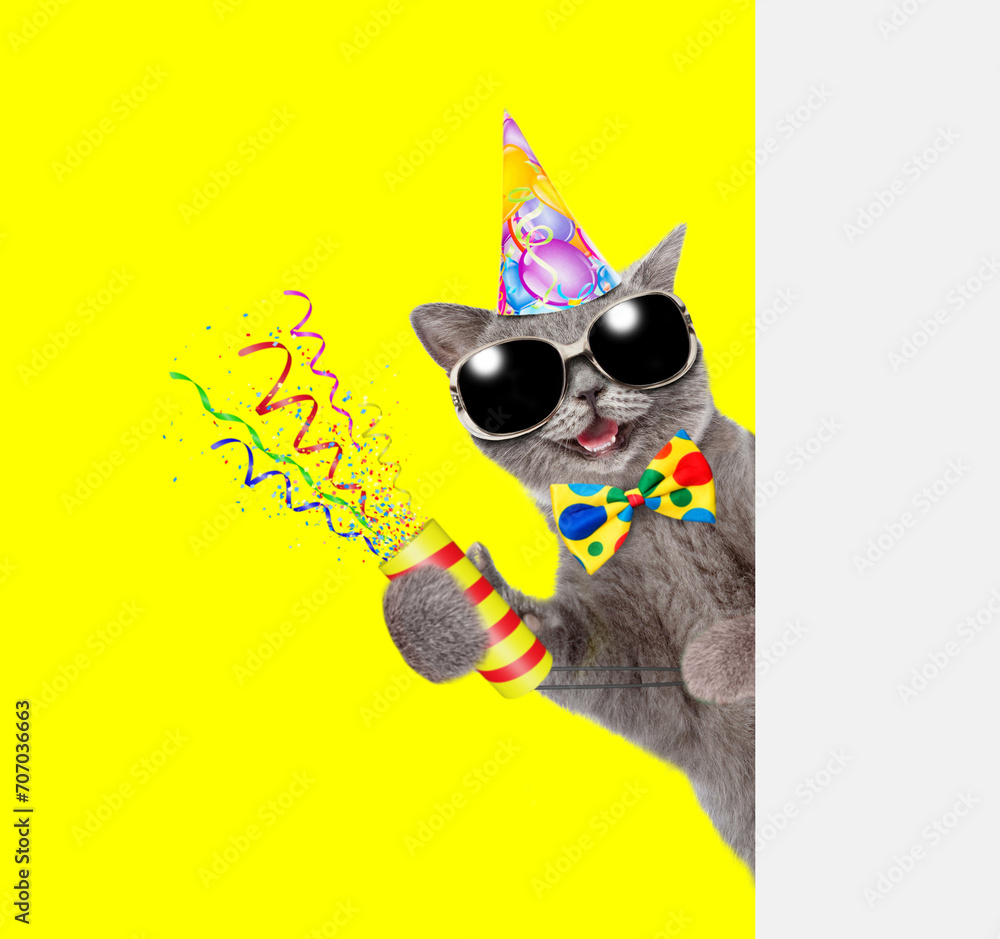 Aufkleber Happy cat wearing tie bow,sunglasses and party cap holds exploding firecracker and looks from behind empty white banner. Isolated on yellow background