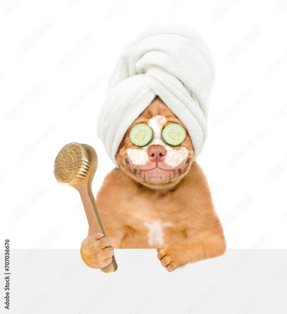 Poster Smiling Mastiff puppy with towel on it head, with pieces of cucumber on it eyes and with cream on it face looks above empty white banner and holds shower brush. isolated on white background