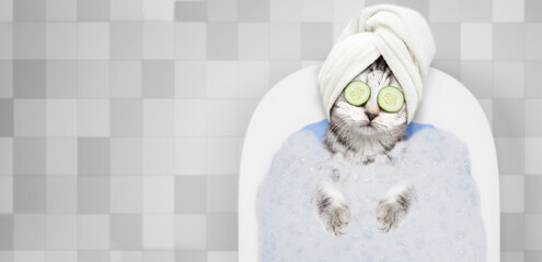 Tabby kitten with with towell on it head, with pieces of cucumber on it eyes and with cream on it face takes the bath at home and holds shower brush. Top down view. Empty space for text