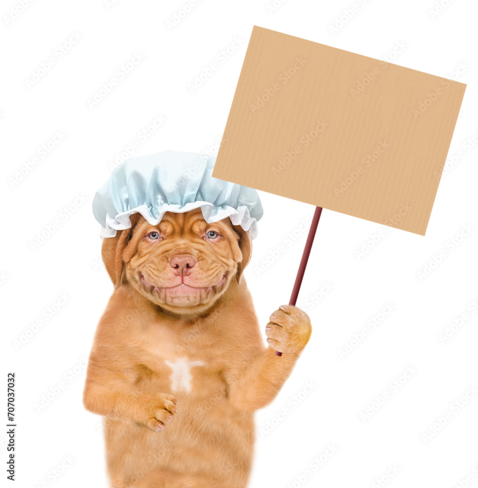 Poster smiling mastiff puppy wearing shower cap shows empty placard. isolated on white background