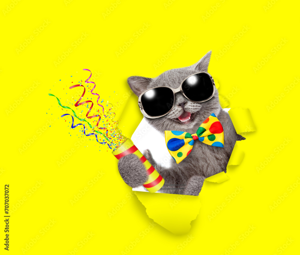Aufkleber Happy cat wearing tie bow and sunglasses looks through a hole in yellow paper holds exploding firecracker