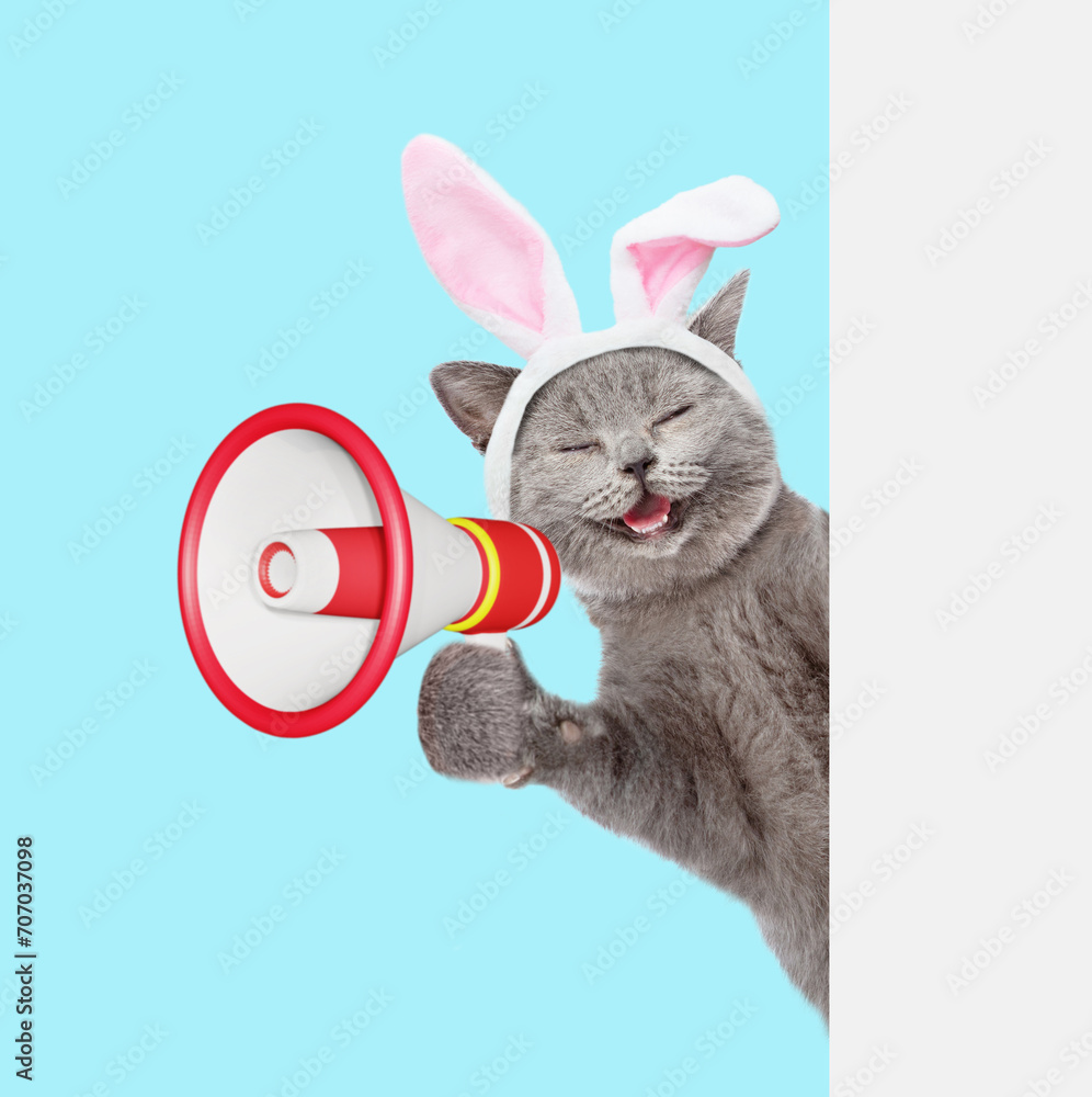 Poster happy kitten wearing easter rabbits ears screaming into a megaphone and looking from behind empty wh