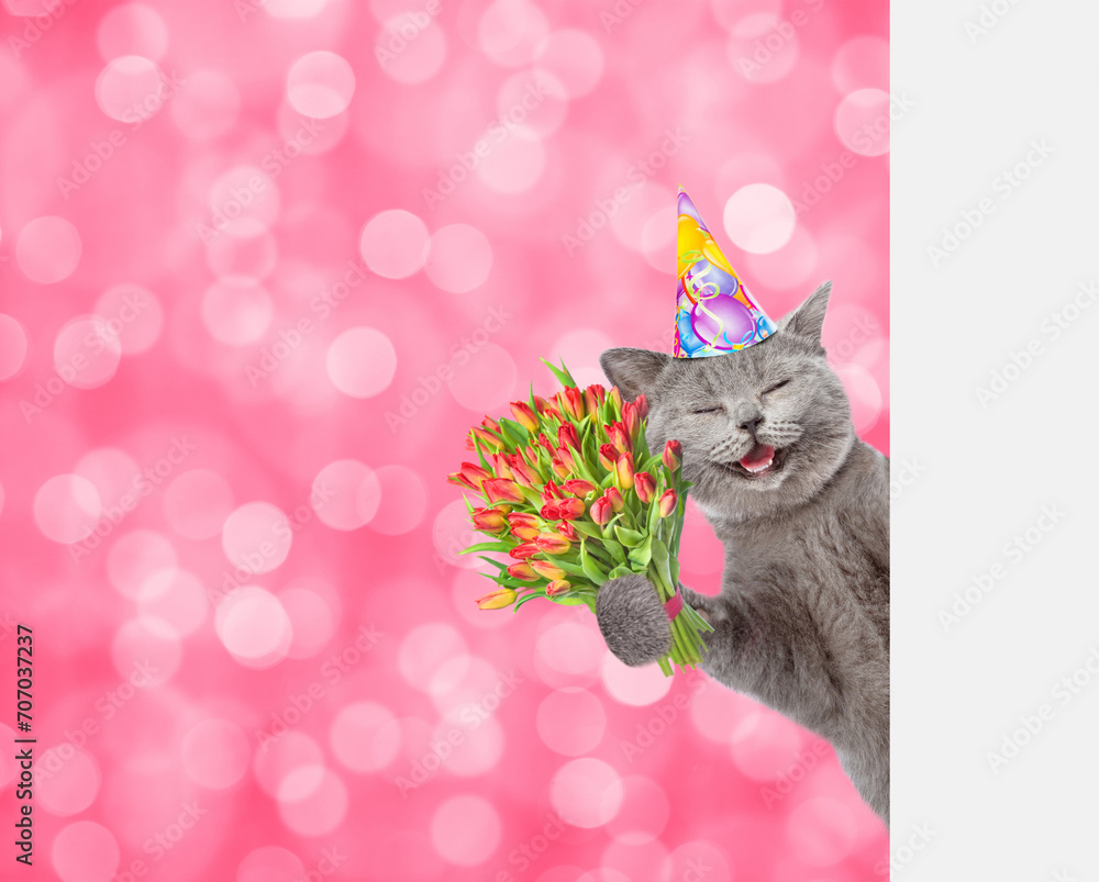 Poster happy cat wearing party cap holds bouquet of tulips and looks from behind empty white banner on fest