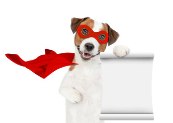 Funny jack russell terrier puppy wearing superhero costume shows empty list. Isolated on white background