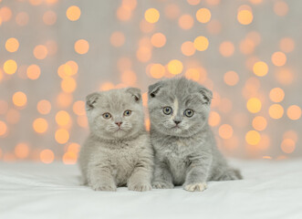 Two cute kittens sit on festive background and look at camera