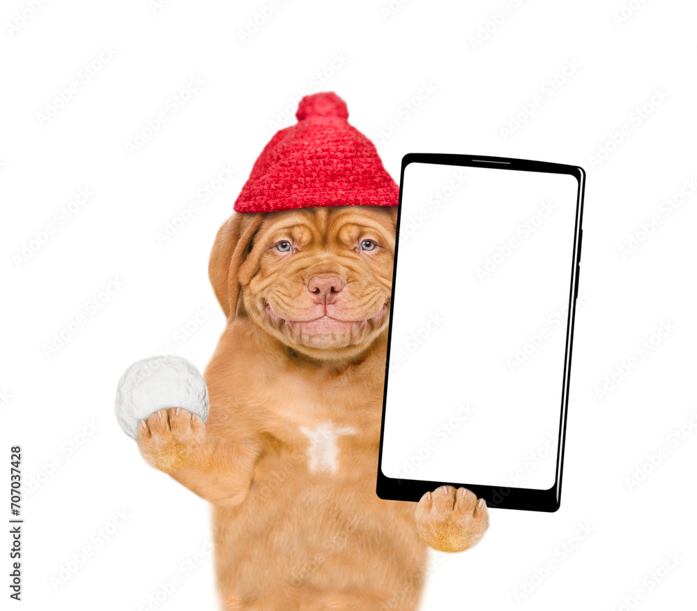 Poster happy puppy wearing a warm hat with pompon holds snowball and holds smartphone with white blank scre