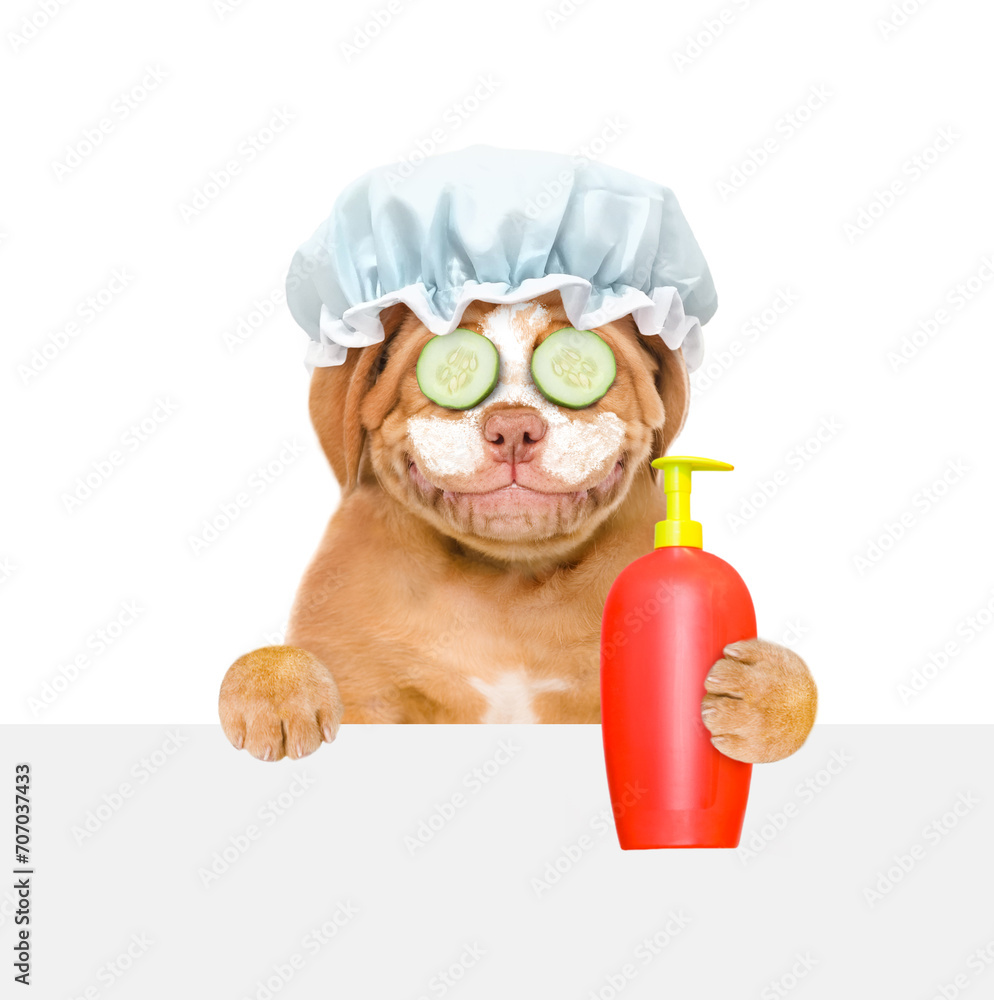 Aufkleber smiling mastiff puppy wearing shower cap with cream on it face, with pieces of cucumber on it eyes l