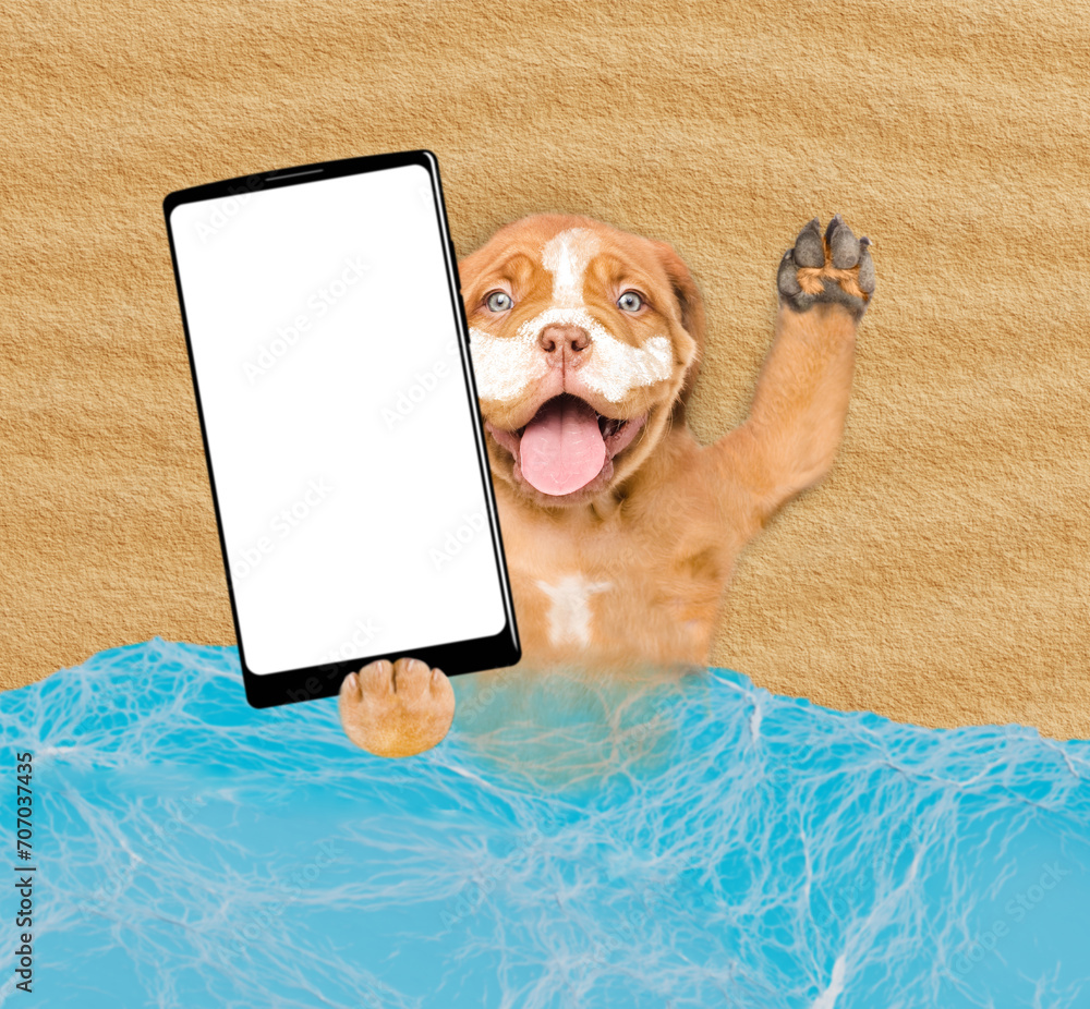 Poster Funny Mastiff puppy lying at beach with suntan lotion or sun block on it face showing big smartphone with white blank screen in it paw. Top down view