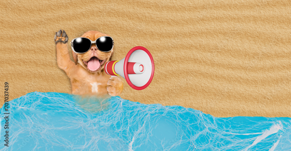 Poster happy mastiff mastiff puppy lying at sunny beach and screaming into a megaphone. empty space for tex