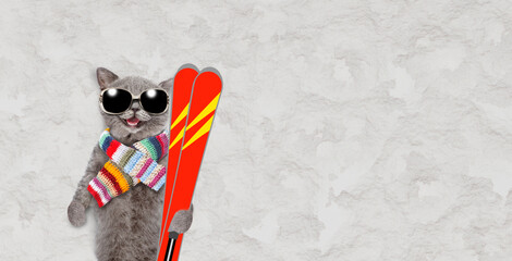 Happy cat wearing sunglasses and warm knitted woolen scarf lying on the snow and holding skis in it...