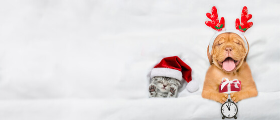 Yawning mastiff puppy dressed like santa claus reindeer  Rudolf holding gift box and shows alarm...