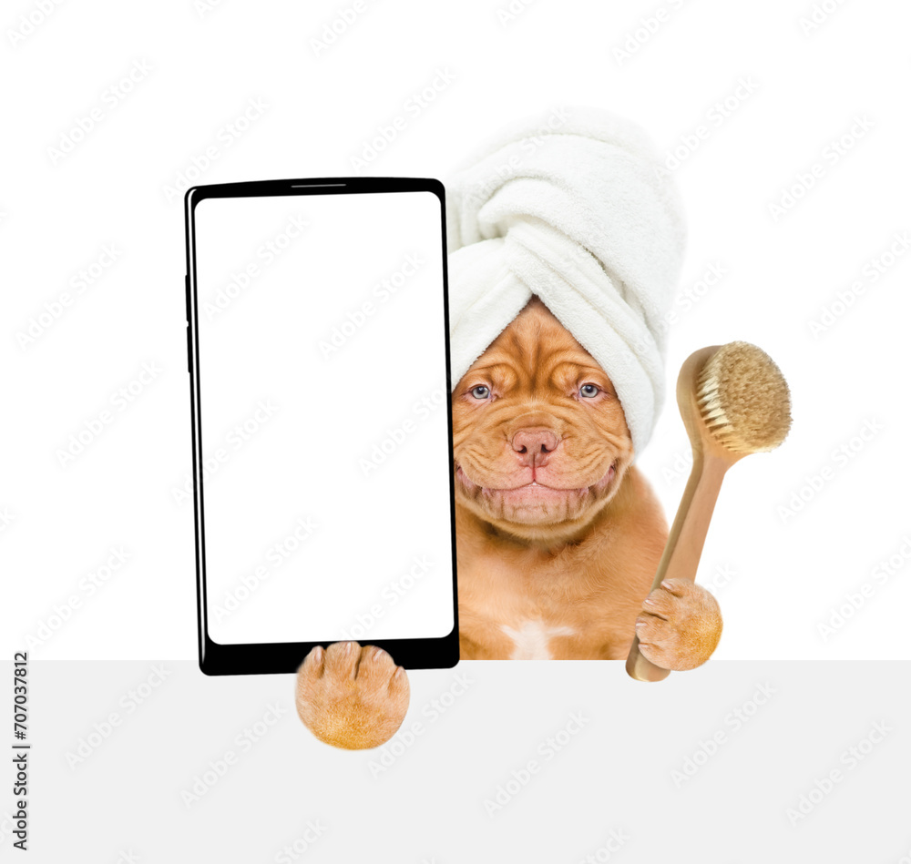 Poster mastiff puppy with towel on it head holds bath brush and big smartphone with white blank screen in i